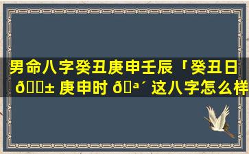男命八字癸丑庚申壬辰「癸丑日 🐱 庚申时 🪴 这八字怎么样」